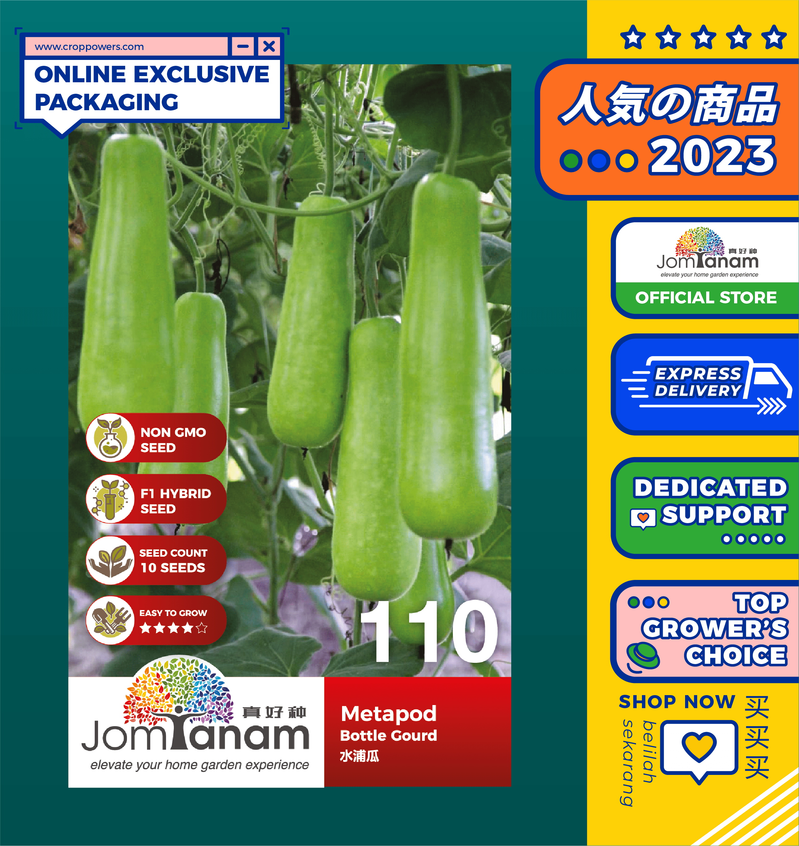 Bottle Gourd Medium Long | lupon.gov.ph