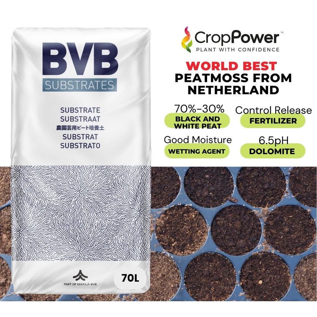 BVB Peatmoss Substrate - 70L - Jom Tanam By Crop Power