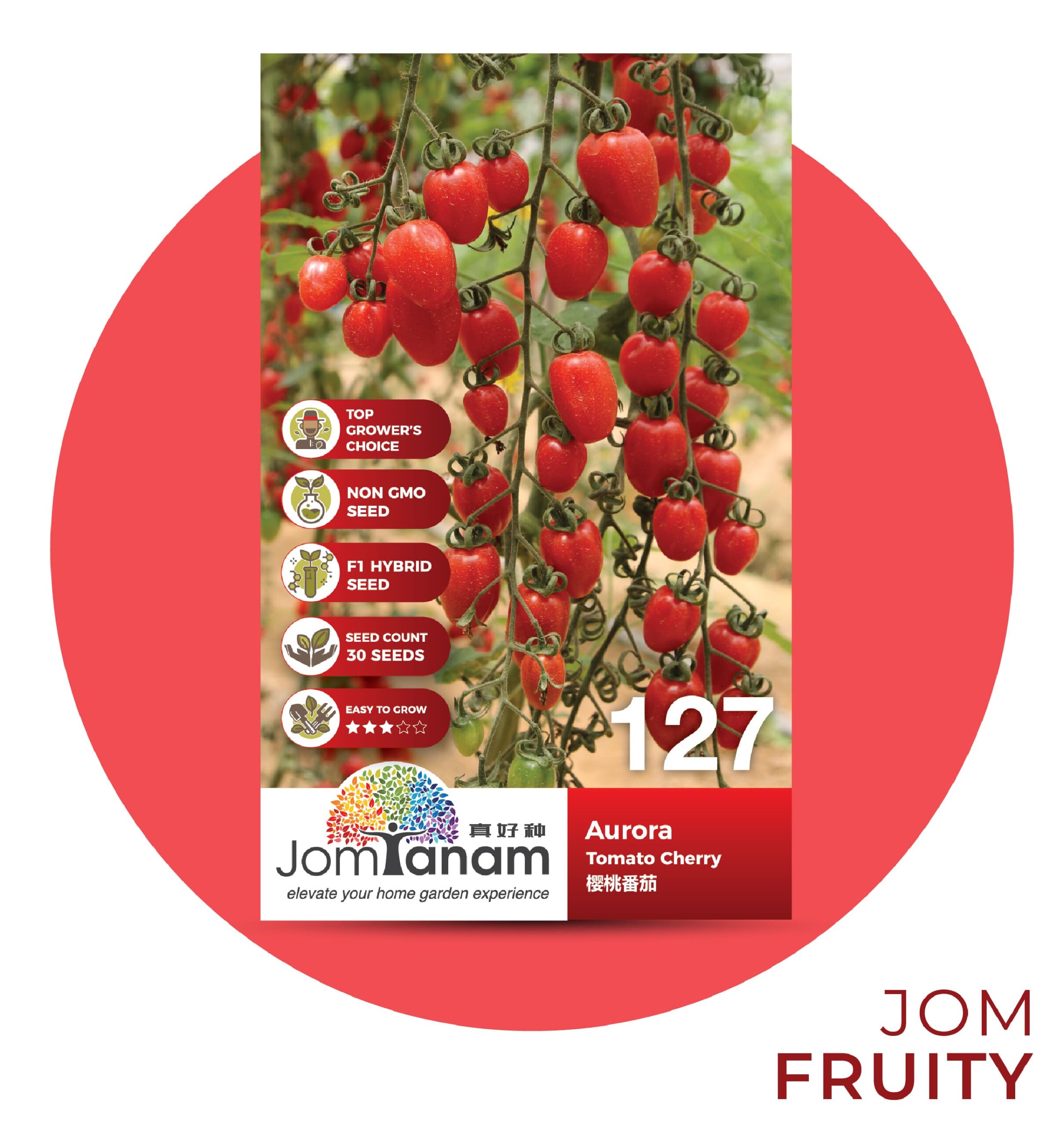 Tomato Cherry Aurora 127 - Jom Tanam by Crop Power